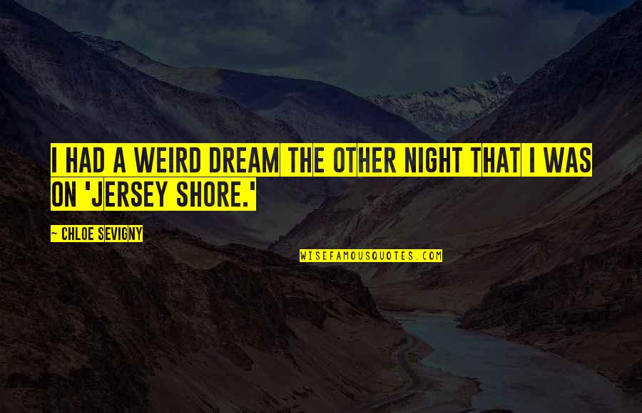 I Had A Dream Quotes By Chloe Sevigny: I had a weird dream the other night