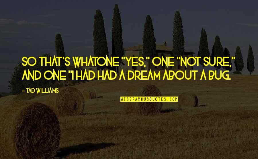 I Had A Dream Quotes By Tad Williams: So that's whatone "yes," one "not sure," and