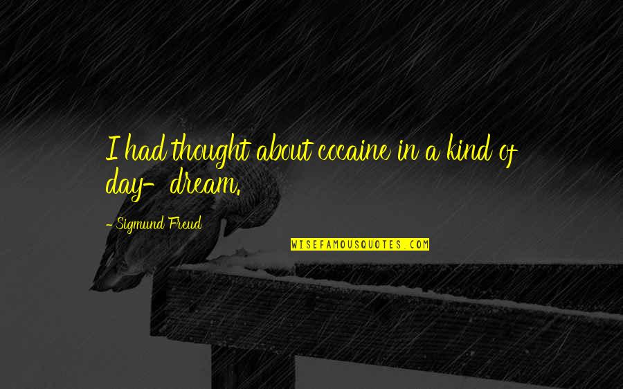 I Had Dream About You Quotes By Sigmund Freud: I had thought about cocaine in a kind