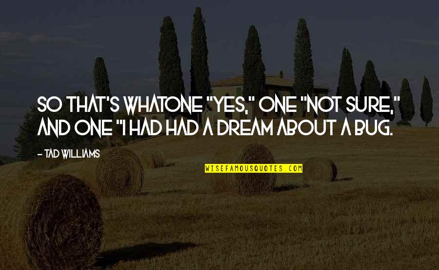 I Had Dream About You Quotes By Tad Williams: So that's whatone "yes," one "not sure," and