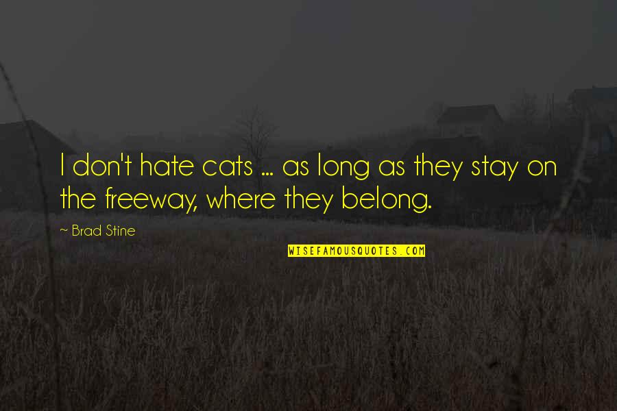 I Hate Cats Quotes By Brad Stine: I don't hate cats ... as long as