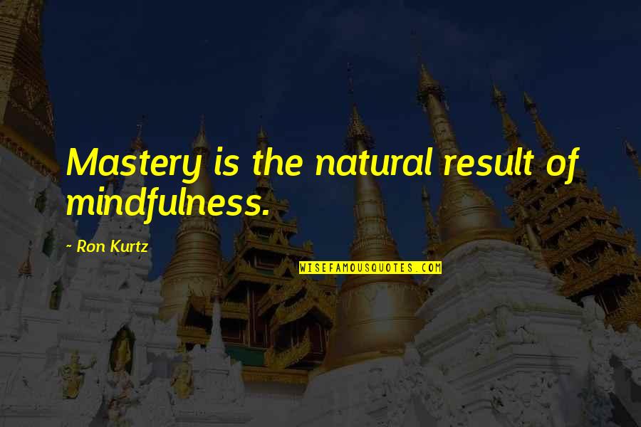 I Hate Chatting Quotes By Ron Kurtz: Mastery is the natural result of mindfulness.