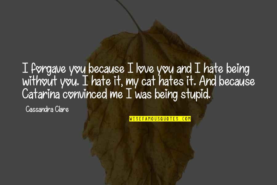 I Hate My Love Quotes By Cassandra Clare: I forgave you because I love you and