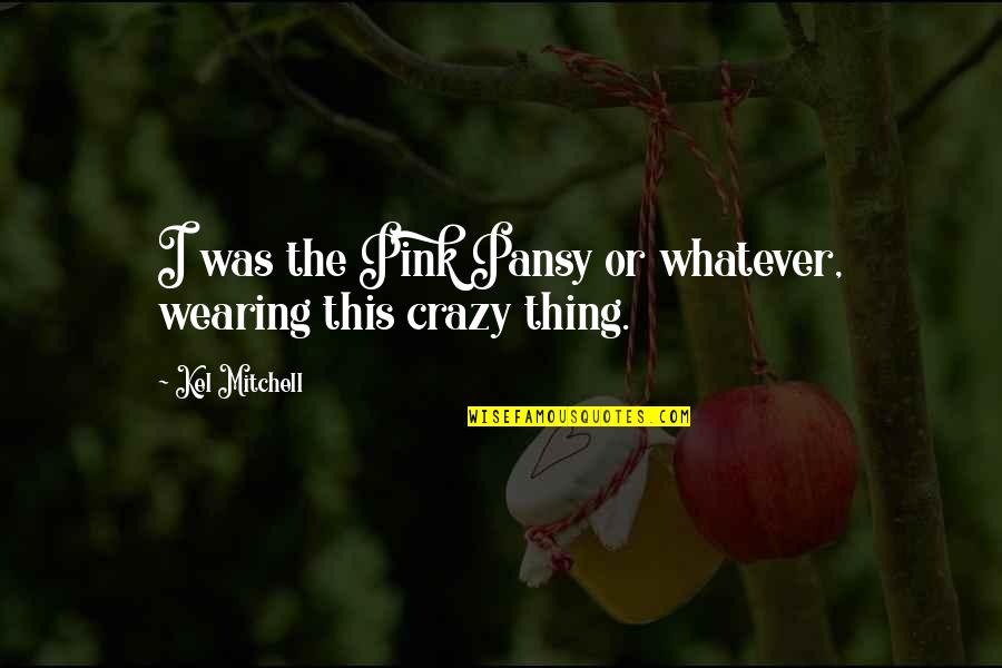 I Hate Myself For Trusting You Quotes By Kel Mitchell: I was the Pink Pansy or whatever, wearing