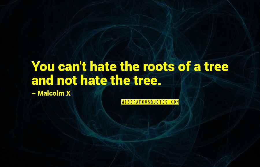 I Hate Racism Quotes By Malcolm X: You can't hate the roots of a tree