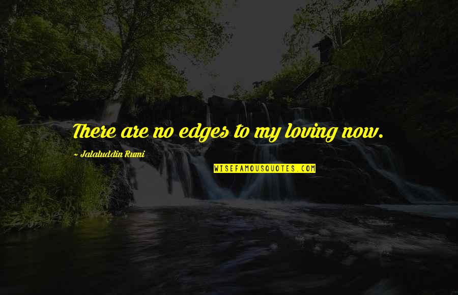 I Hate Suggestions Quotes By Jalaluddin Rumi: There are no edges to my loving now.