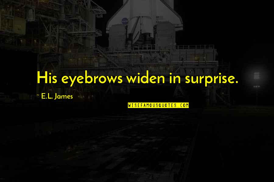 I Hate Thunder And Lightning Quotes By E.L. James: His eyebrows widen in surprise.