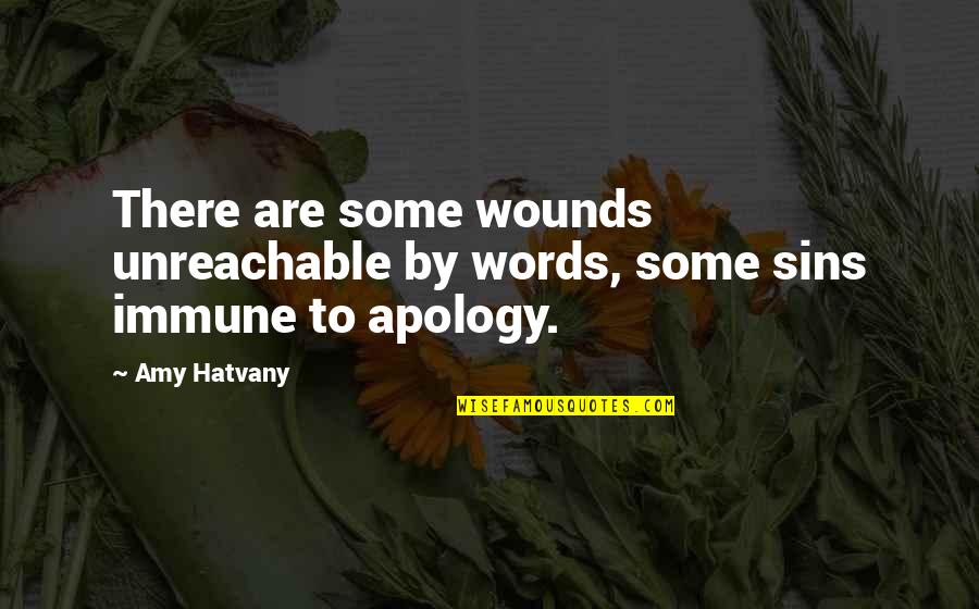 I Hate Walmart Quotes By Amy Hatvany: There are some wounds unreachable by words, some