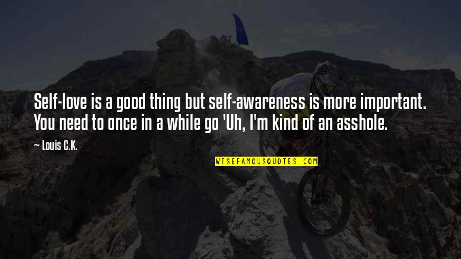 I Hate You But Love You Quotes By Louis C.K.: Self-love is a good thing but self-awareness is