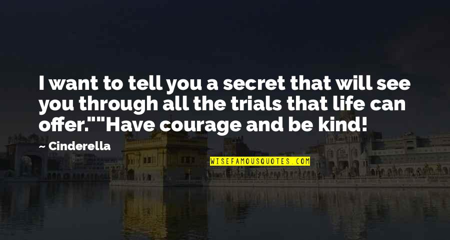 I Have A Secret Quotes By Cinderella: I want to tell you a secret that