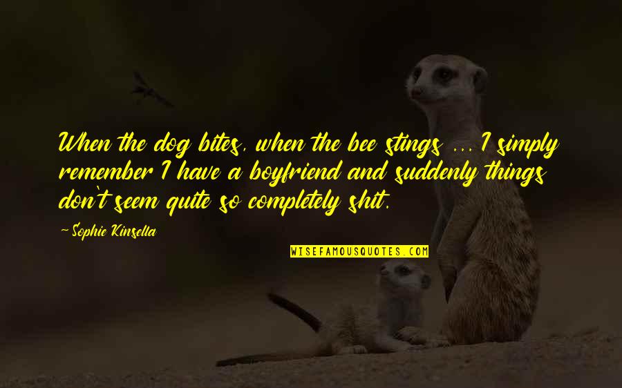 I Have A Secret Quotes By Sophie Kinsella: When the dog bites, when the bee stings