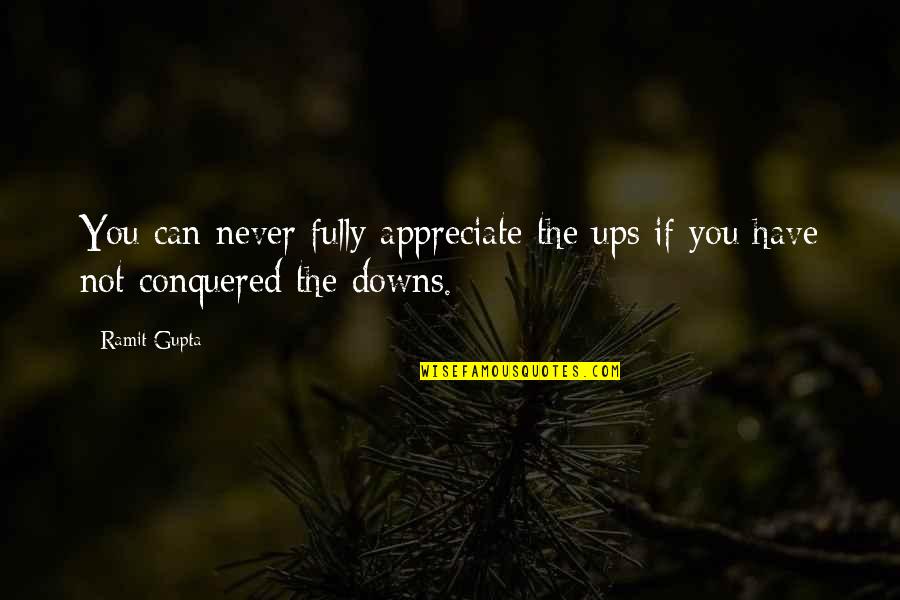 I Have Conquered Quotes By Ramit Gupta: You can never fully appreciate the ups if