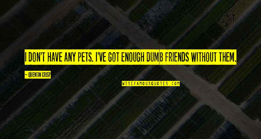 I Have Enough Friends Quotes By Quentin Crisp: I don't have any pets. I've got enough