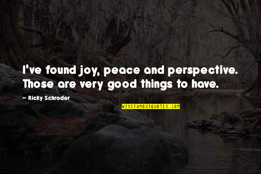 I Have Found Peace Quotes By Ricky Schroder: I've found joy, peace and perspective. Those are