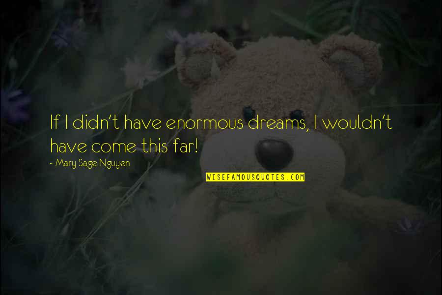 I Have Goals And Dreams Quotes By Mary Sage Nguyen: If I didn't have enormous dreams, I wouldn't