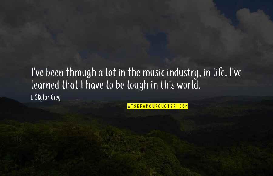 I Have Learned Life Quotes By Skylar Grey: I've been through a lot in the music