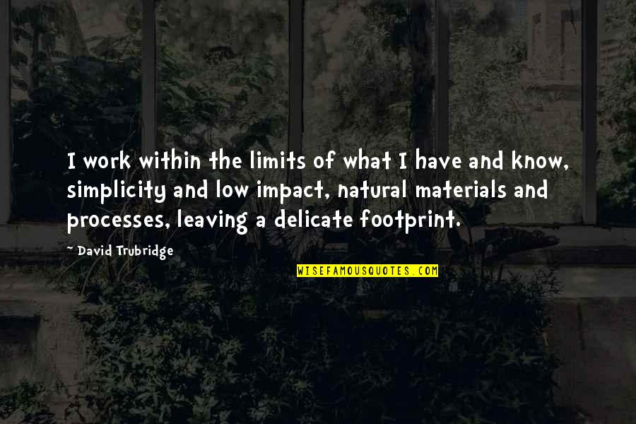 I Have Limits Quotes By David Trubridge: I work within the limits of what I