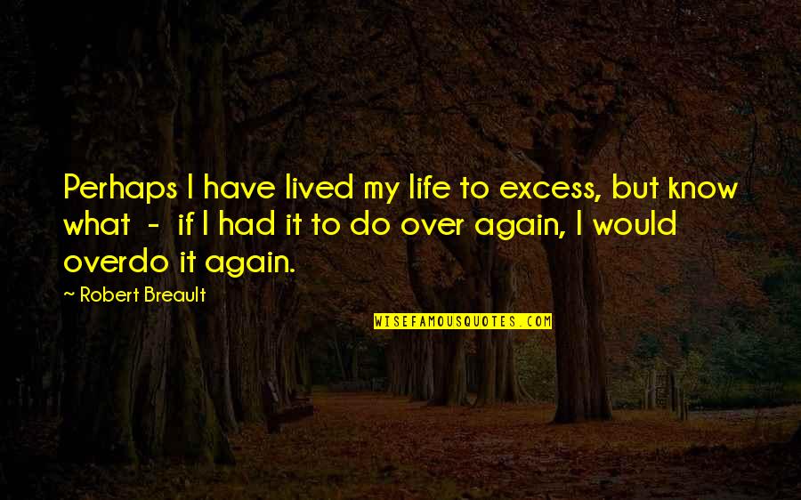 I Have Lived My Life Quotes By Robert Breault: Perhaps I have lived my life to excess,