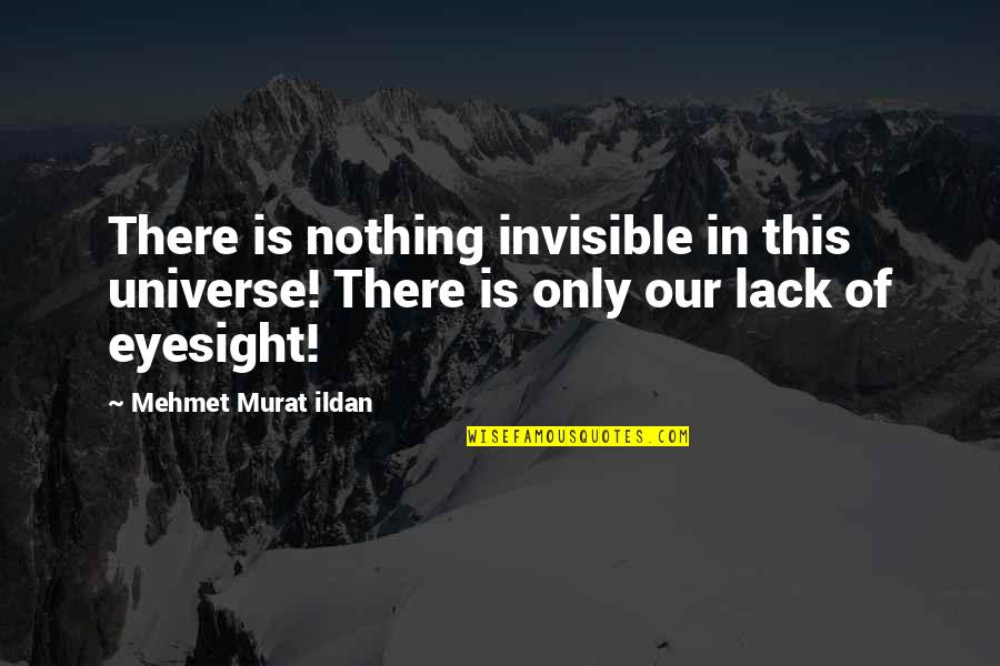 I Have Loved You Since The Day I Met You Quotes By Mehmet Murat Ildan: There is nothing invisible in this universe! There