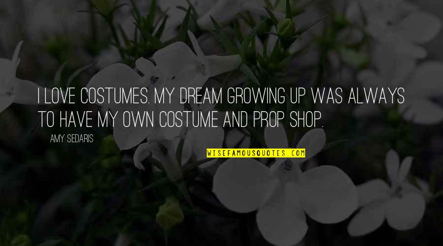 I Have My Own Dream Quotes By Amy Sedaris: I love costumes. My dream growing up was