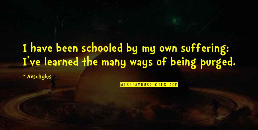 I Have My Own Way Quotes By Aeschylus: I have been schooled by my own suffering: