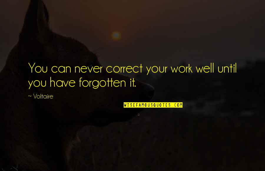 I Have Never Forgotten You Quotes By Voltaire: You can never correct your work well until