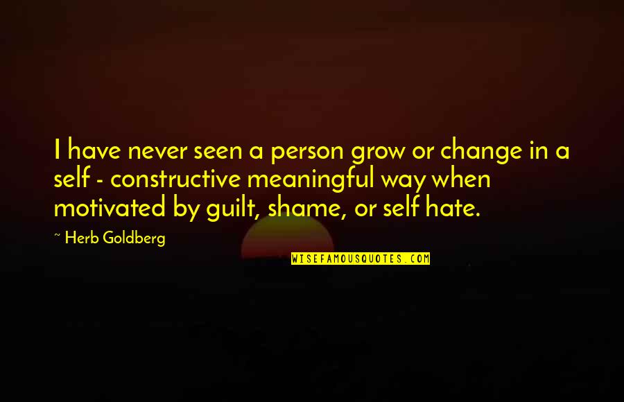 I Have Never Seen Quotes By Herb Goldberg: I have never seen a person grow or I Have Never Seen Quotes By Herb Goldberg: I have never seen a person grow or