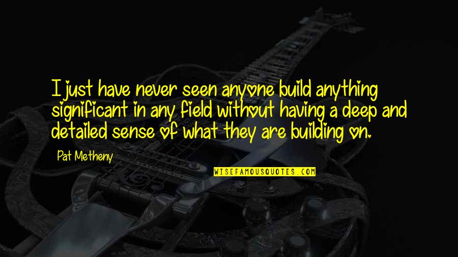 I Have Never Seen Quotes By Pat Metheny: I just have never seen anyone build anything I Have Never Seen Quotes By Pat Metheny: I just have never seen anyone build anything