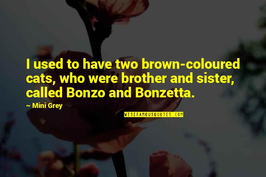 I Have No Brother And Sister Quotes By Mini Grey: I used to have two brown-coloured cats, who