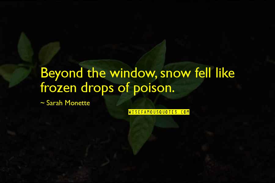 I Have No Faith In Humanity Quotes By Sarah Monette: Beyond the window, snow fell like frozen drops