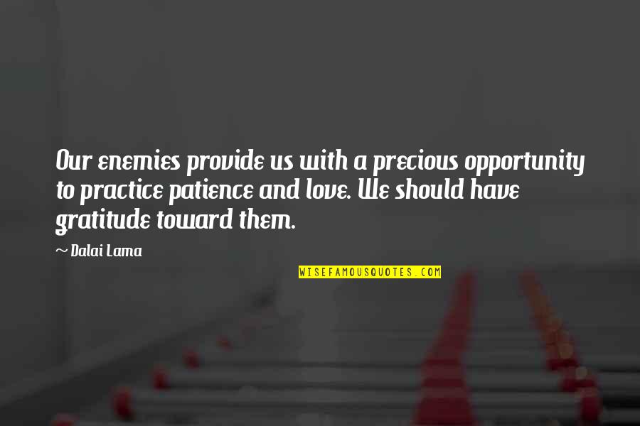I Have Not Patience Quotes By Dalai Lama: Our enemies provide us with a precious opportunity