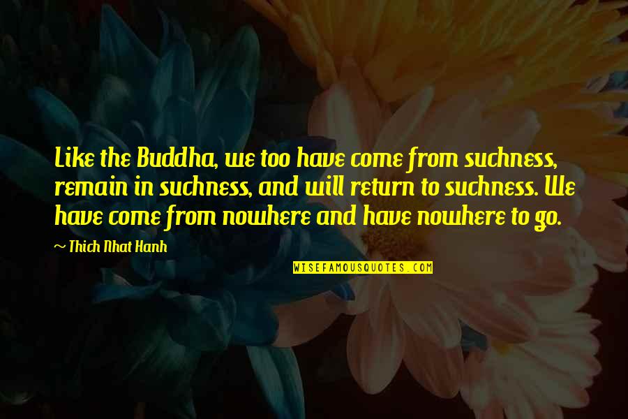 I Have Nowhere To Go Quotes By Thich Nhat Hanh: Like the Buddha, we too have come from