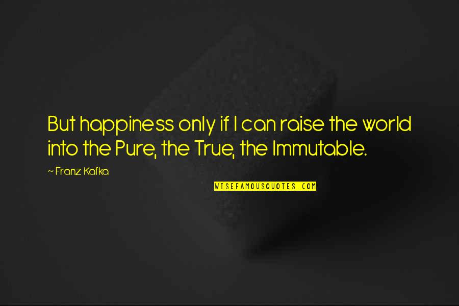 I Have So Much Pain Inside Quotes By Franz Kafka: But happiness only if I can raise the