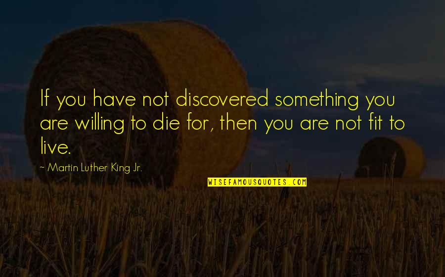 I Have Something To Live For Quotes By Martin Luther King Jr.: If you have not discovered something you are