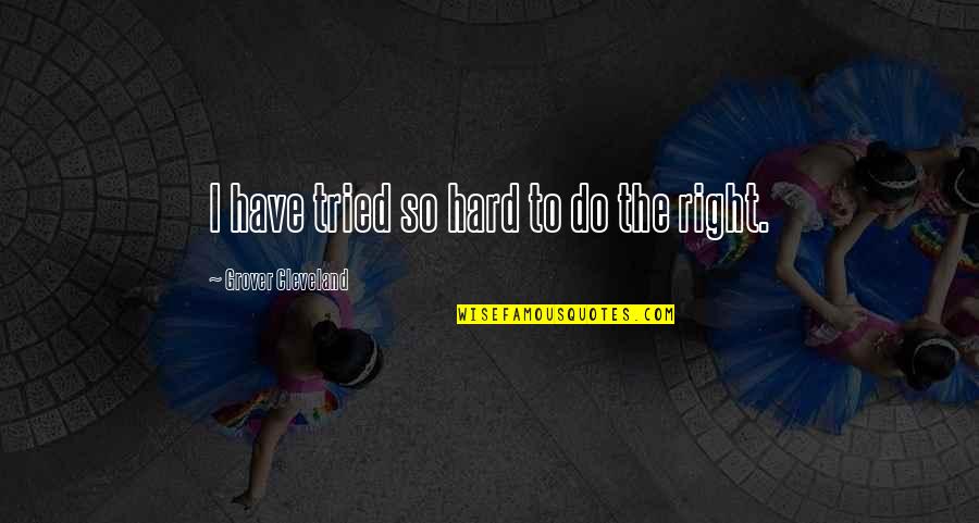 I Have Tried So Hard Quotes By Grover Cleveland: I have tried so hard to do the