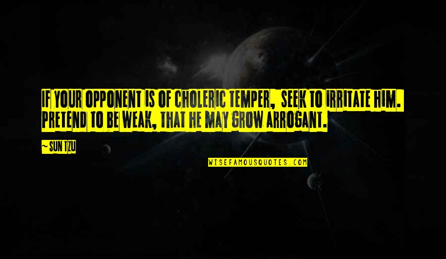 I Hear The Sunspot Quotes By Sun Tzu: If your opponent is of choleric temper, seek