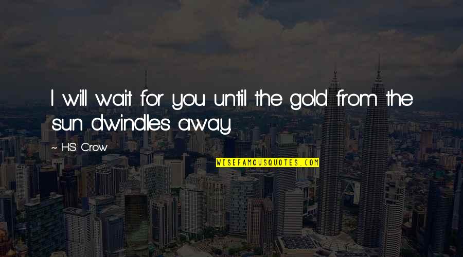 I Hope For Quotes By H.S. Crow: I will wait for you until the gold