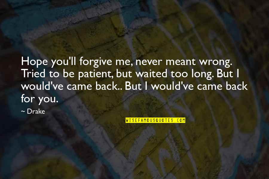 I Hope For You Quotes By Drake: Hope you'll forgive me, never meant wrong. Tried