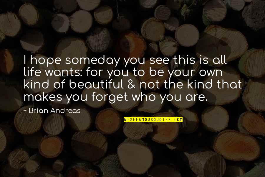 I Hope That Someday Quotes By Brian Andreas: I hope someday you see this is all