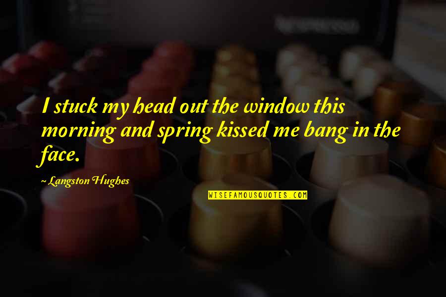 I Hope You Get Hurt Quotes By Langston Hughes: I stuck my head out the window this