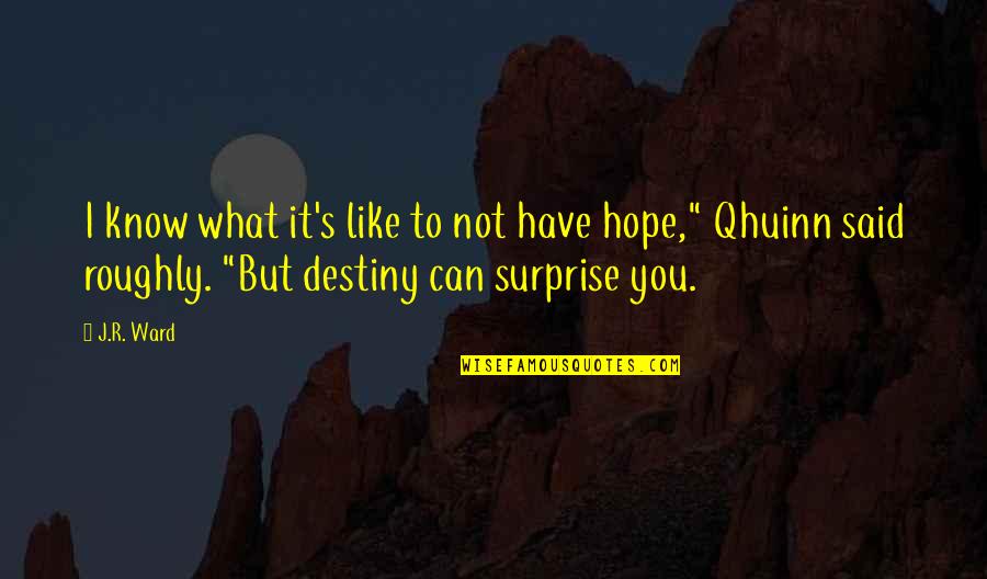 I Hope You Know Quotes By J.R. Ward: I know what it's like to not have I Hope You Know Quotes By J.R. Ward: I know what it's like to not have