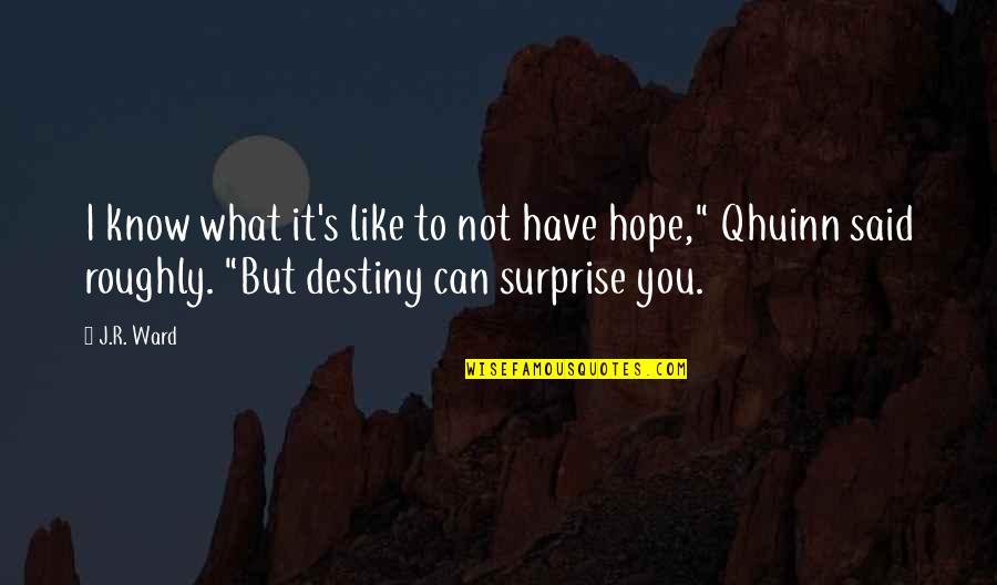 I Hope You Like It Quotes By J.R. Ward: I know what it's like to not have I Hope You Like It Quotes By J.R. Ward: I know what it's like to not have
