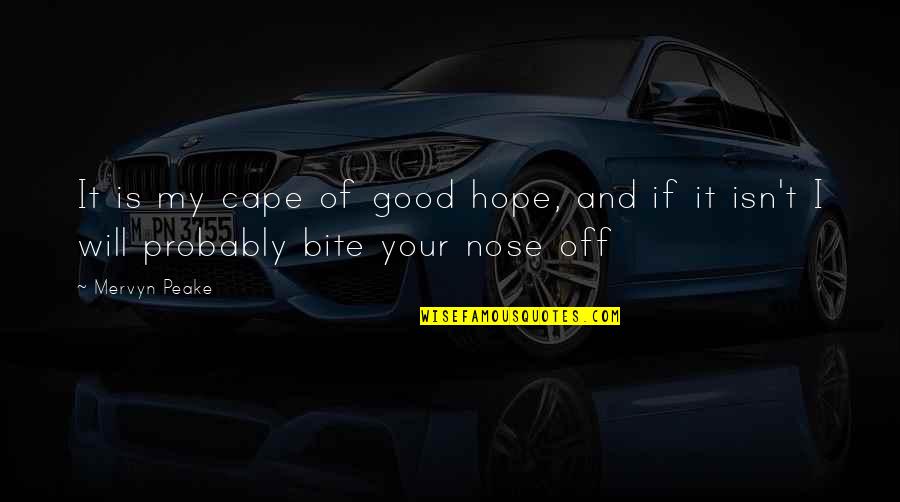 I Hope You Will Be Ok Quotes By Mervyn Peake: It is my cape of good hope, and