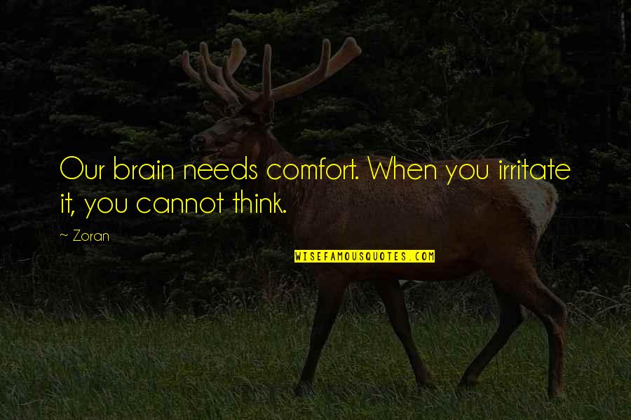 I Irritate You Quotes By Zoran: Our brain needs comfort. When you irritate it,