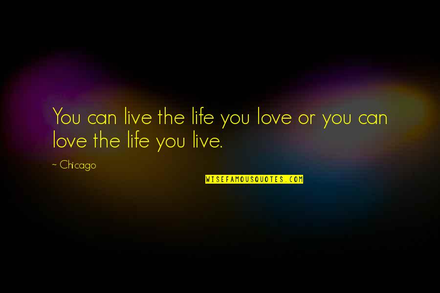 I Just Can't Live Without You Quotes By Chicago: You can live the life you love or