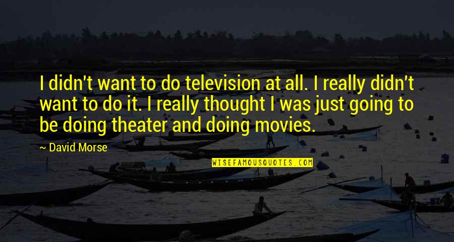I Just Do It Quotes By David Morse: I didn't want to do television at all.