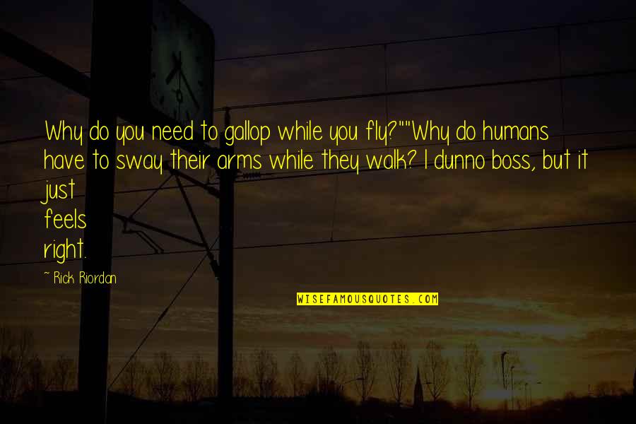 I Just Do It Quotes By Rick Riordan: Why do you need to gallop while you