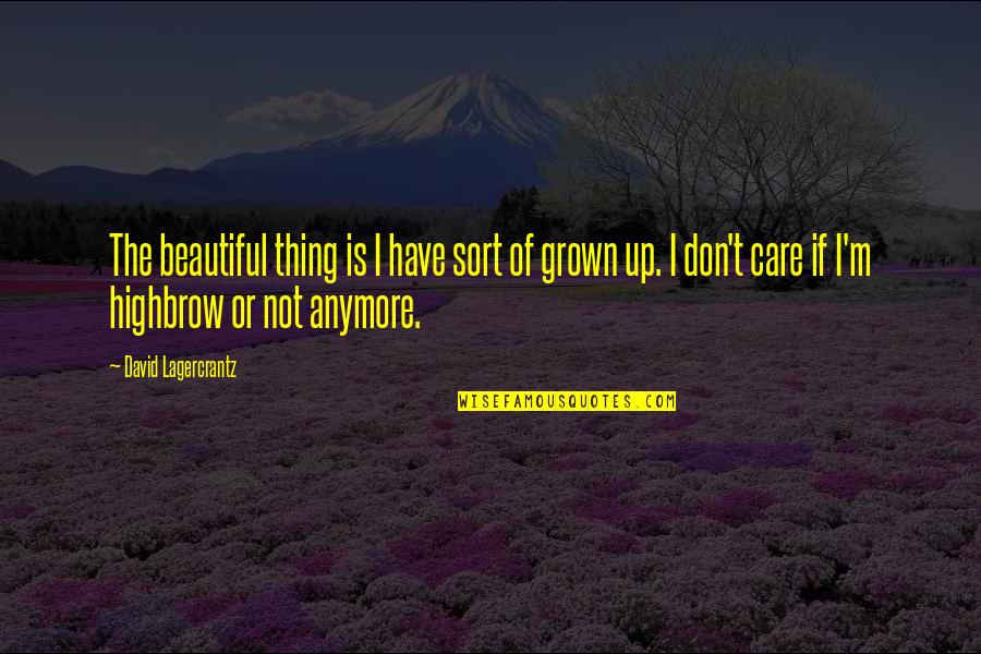 I Just Don't Care Anymore Quotes By David Lagercrantz: The beautiful thing is I have sort of