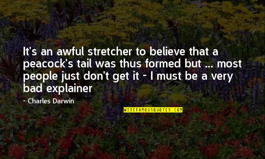I Just Don't Get It Quotes By Charles Darwin: It's an awful stretcher to believe that a