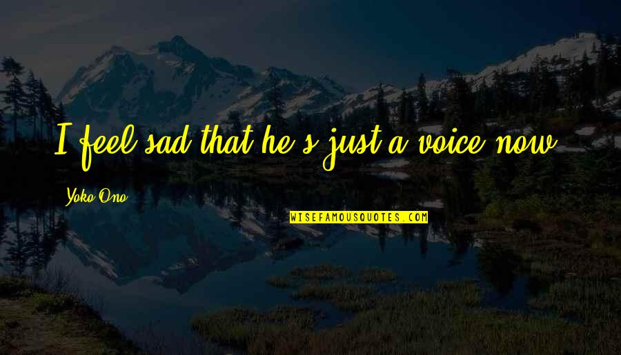 I Just Feel Sad Quotes By Yoko Ono: I feel sad that he's just a voice